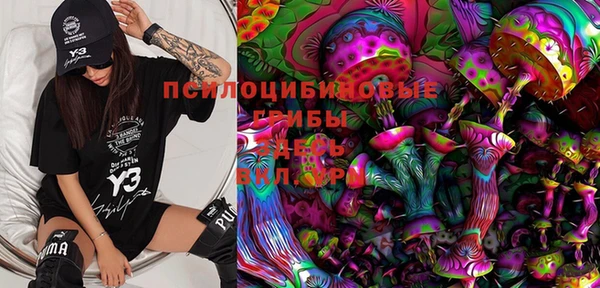 дмт Инсар