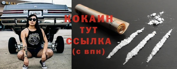 дмт Инсар