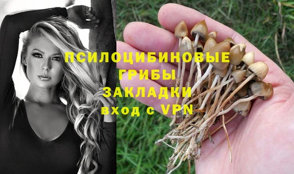 соль ск Инта