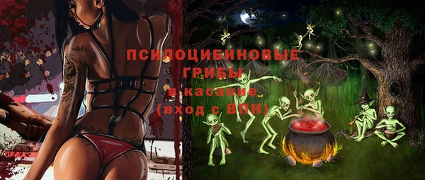 молекула духа Иннополис