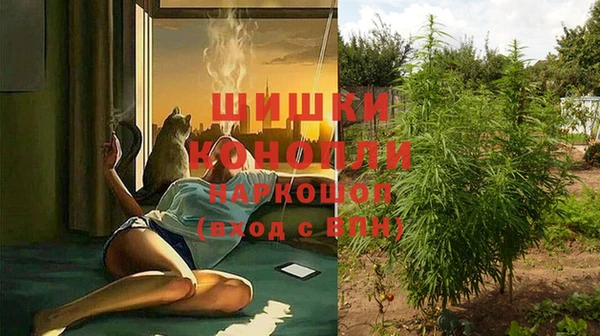 молекула духа Иннополис