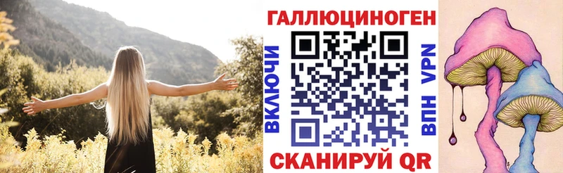 Купить где  Петровск  Псилоцибиновые грибы Psilocybe 